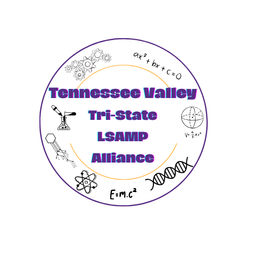 LSAMP Summer Bridge Program