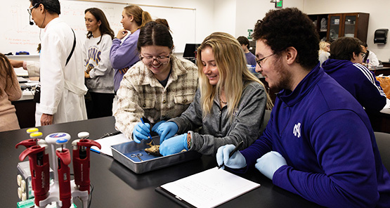 Bachelor of Science in Biology