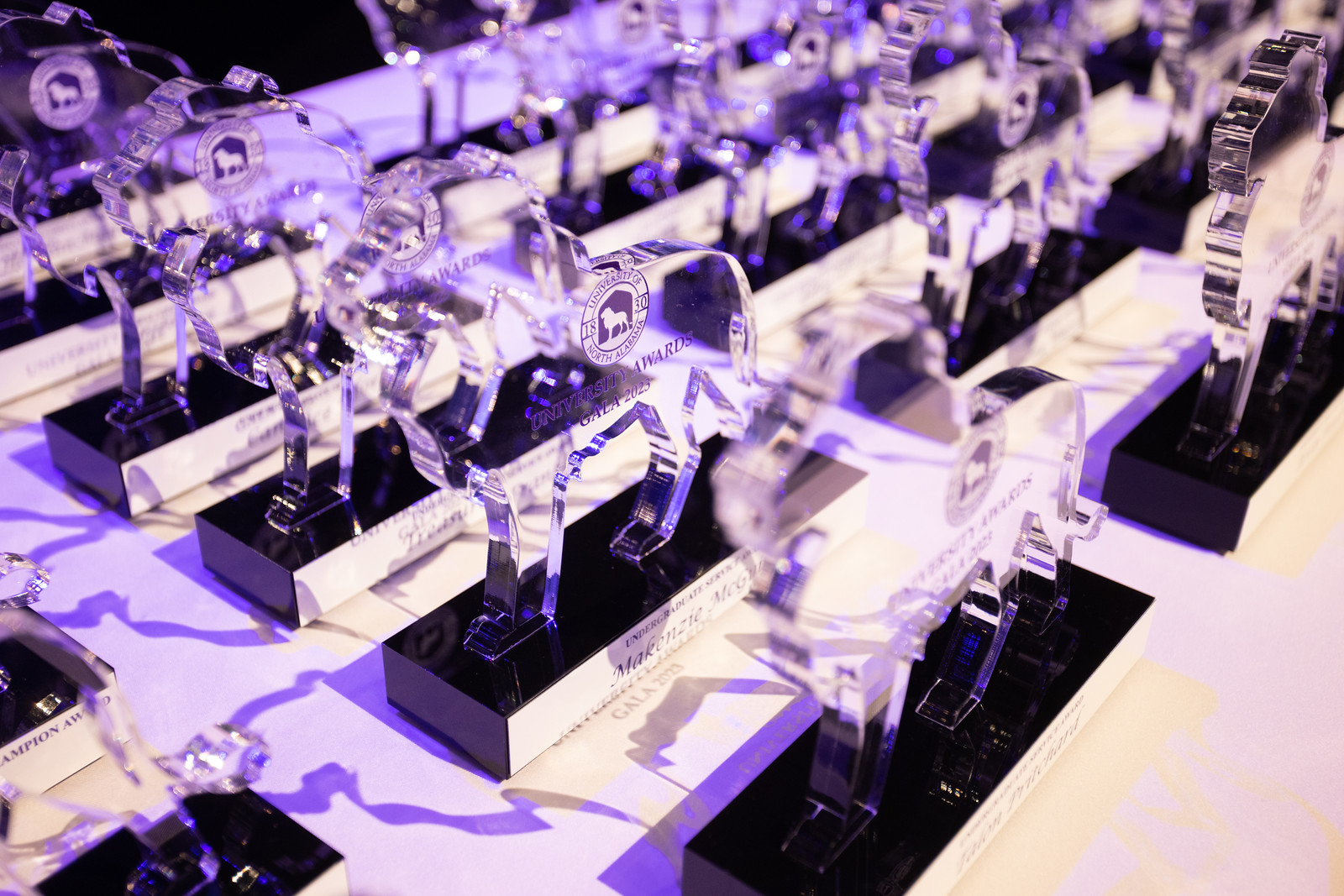 Outstanding Global Lion 