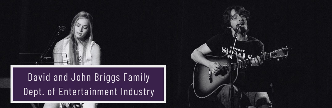 david-and-john-briggs-family-entertainment-industry-website-button.png